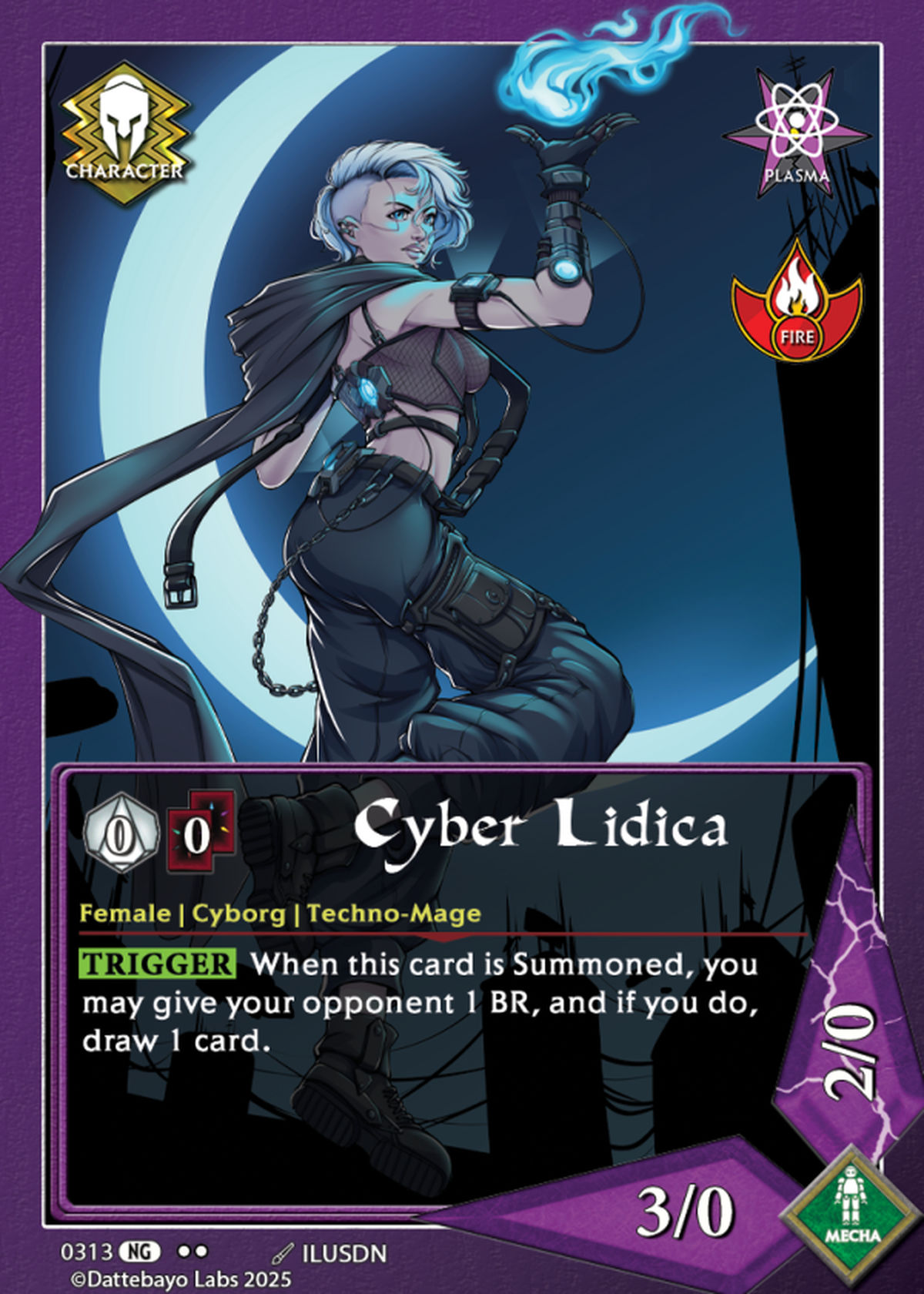 Cyber Lidica
